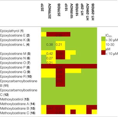 Epoxylathyrane Derivatives as MDR-Selective Compounds for Disabling Multidrug Resistance in Cancer